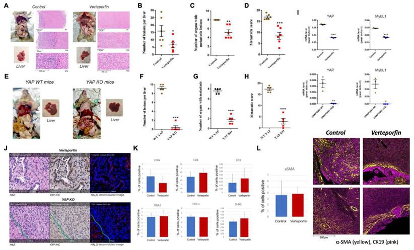 Int J Biol Sci Image