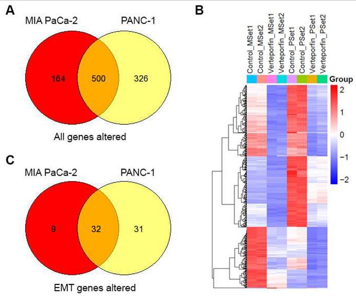 Int J Biol Sci Image