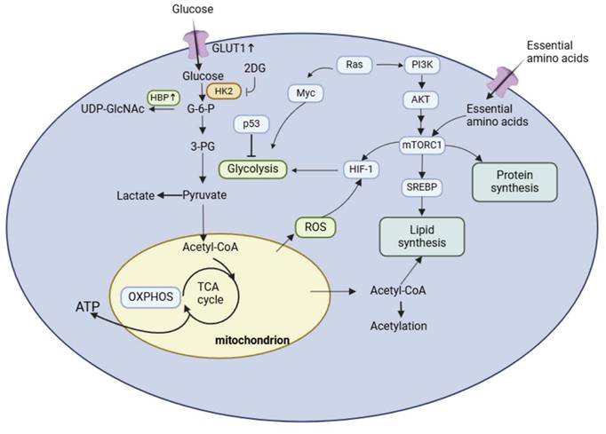 Int J Biol Sci Image