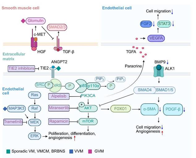 Int J Biol Sci Image