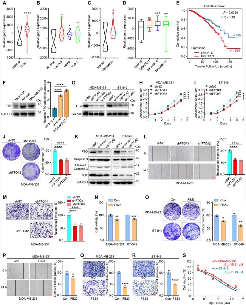 Int J Biol Sci Image