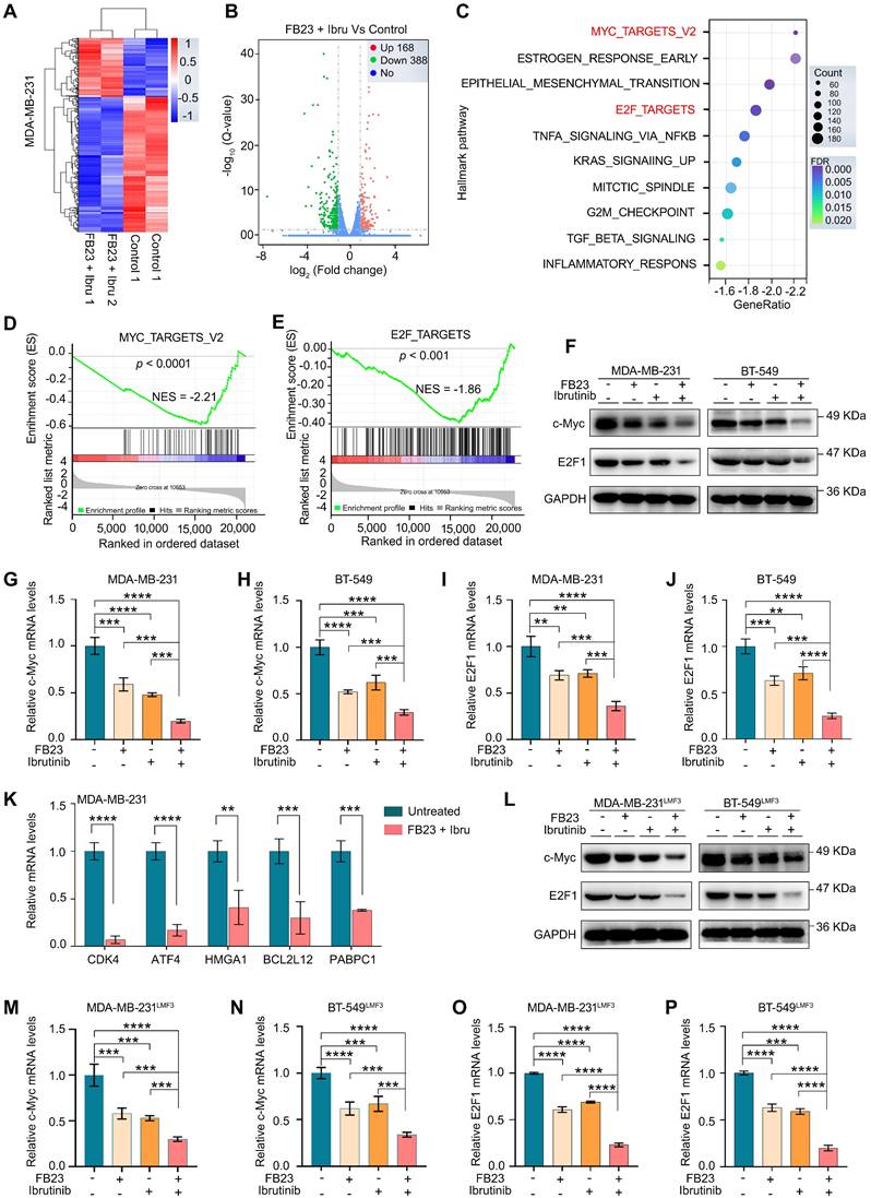 Int J Biol Sci Image