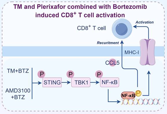 Int J Biol Sci Image