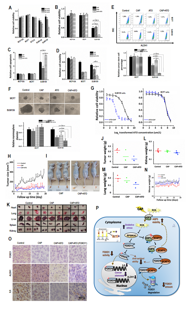 Int J Biol Sci Image