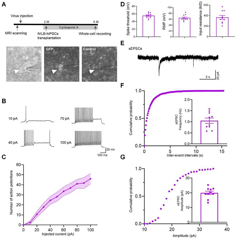 Int J Biol Sci Image