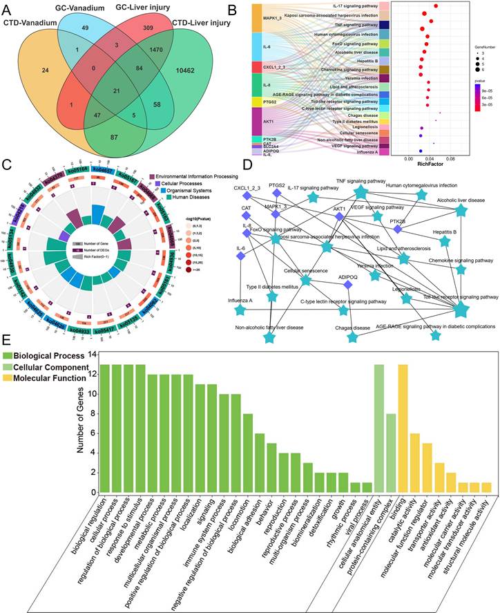 Int J Biol Sci Image