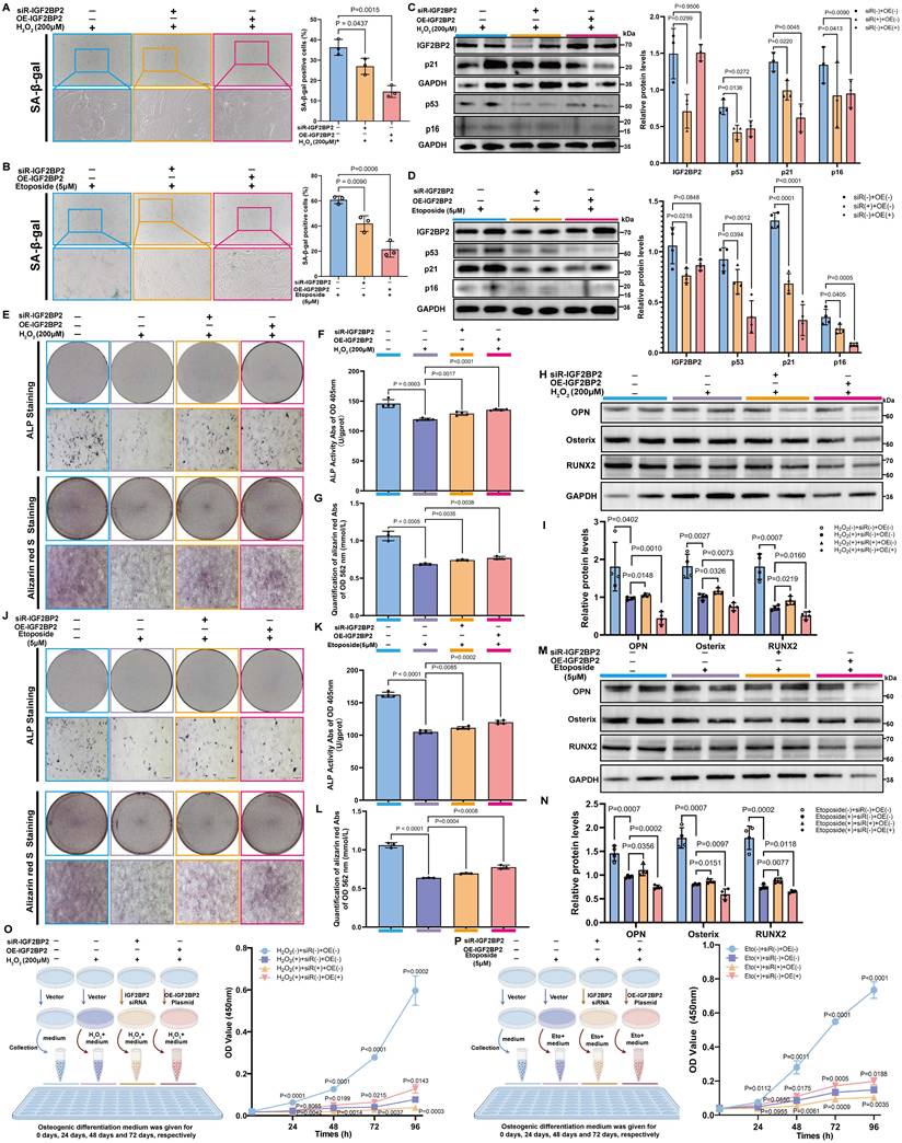 Int J Biol Sci Image