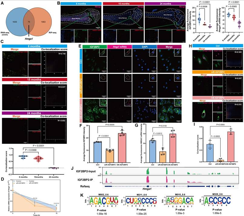 Int J Biol Sci Image