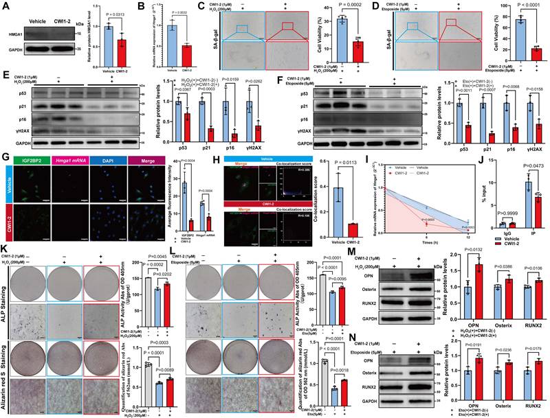 Int J Biol Sci Image
