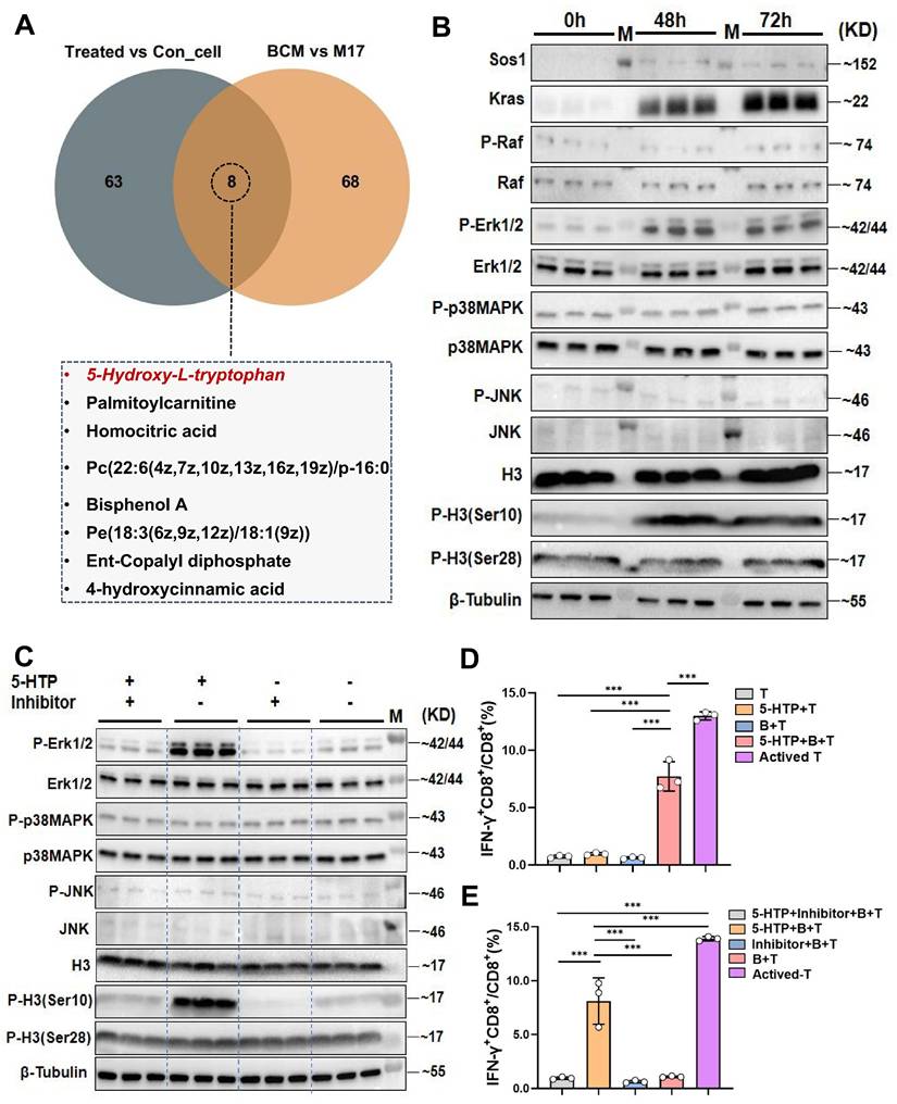 Int J Biol Sci Image