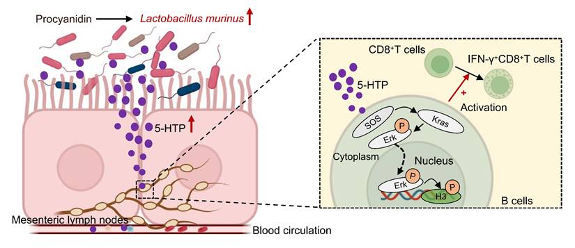 Int J Biol Sci Image