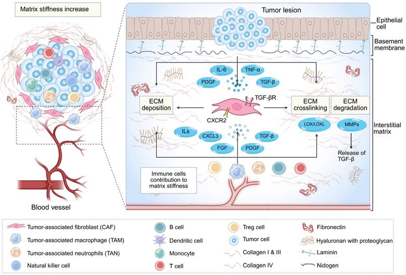 Int J Biol Sci Image