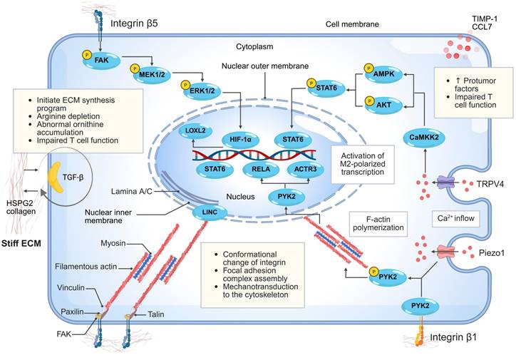 Int J Biol Sci Image