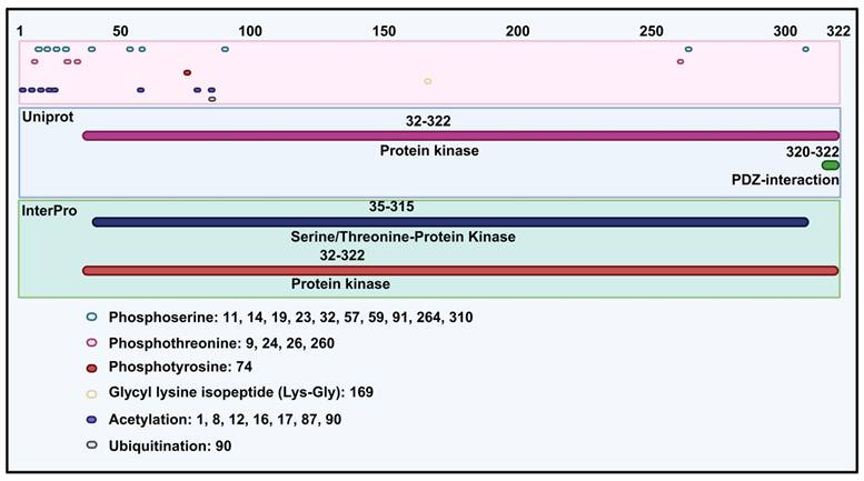 Int J Biol Sci Image