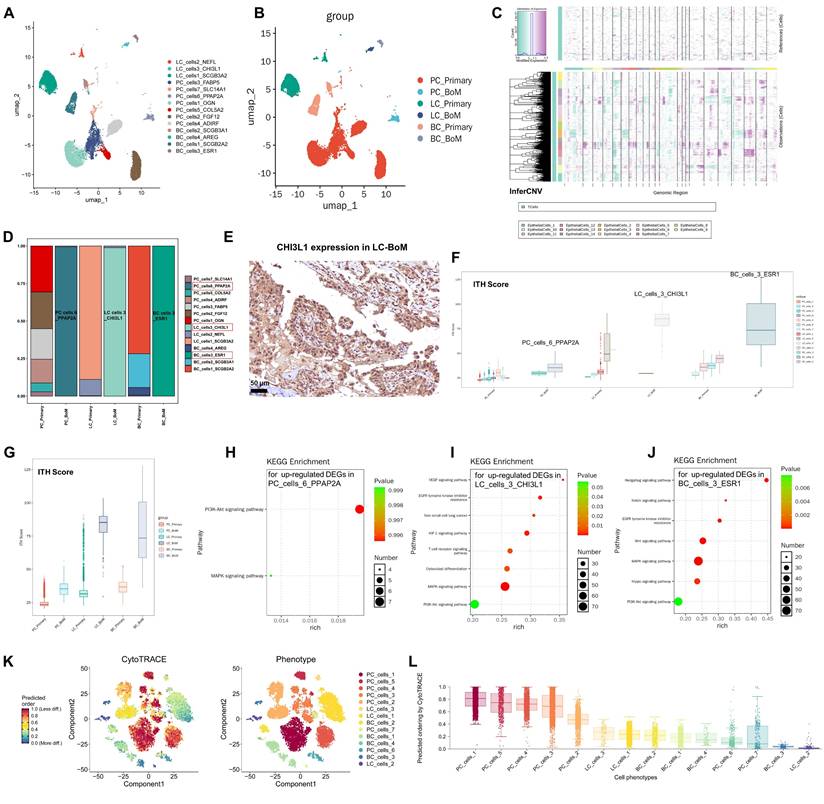 Int J Biol Sci Image