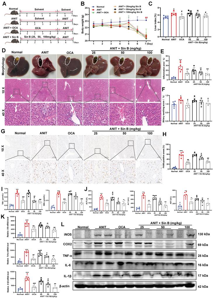 Int J Biol Sci Image