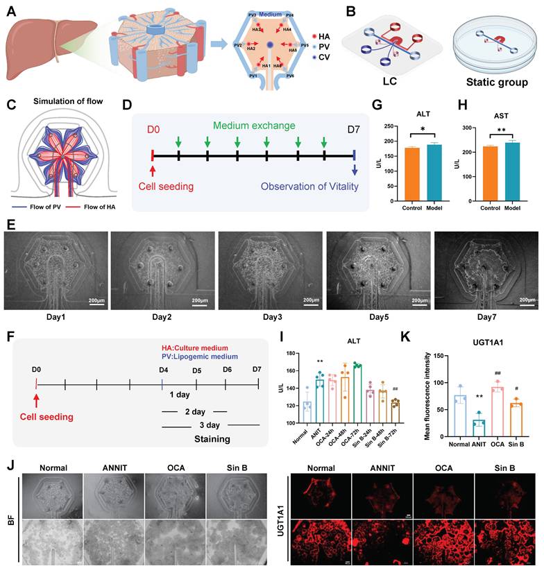 Int J Biol Sci Image