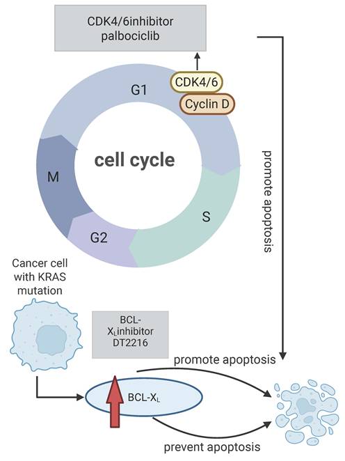 Int J Biol Sci Image