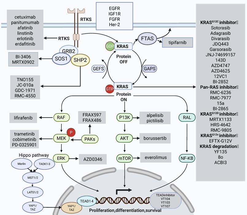 Int J Biol Sci Image