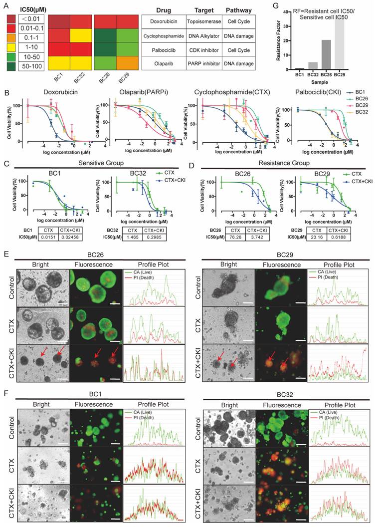 Int J Biol Sci Image