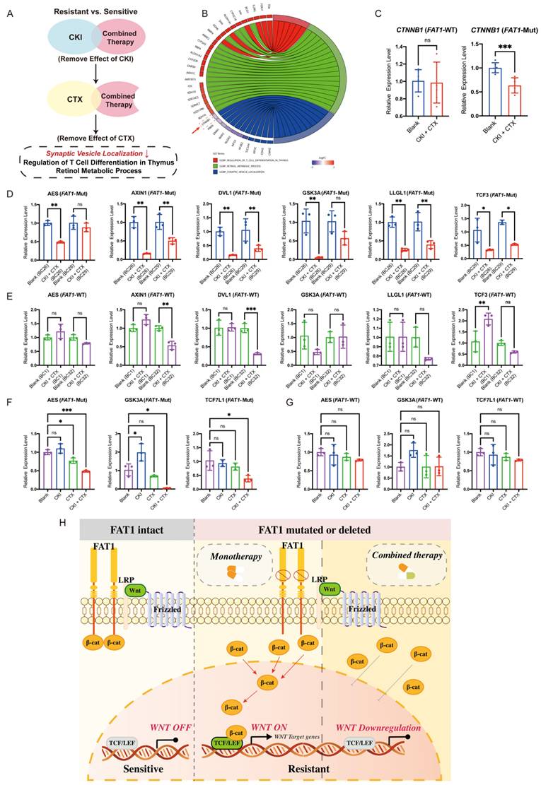 Int J Biol Sci Image