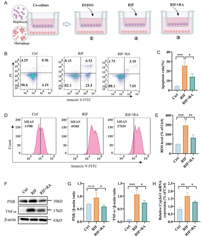 Int J Biol Sci Image