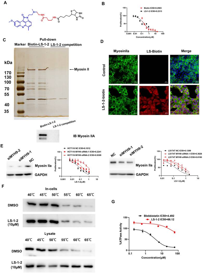 Int J Biol Sci Image