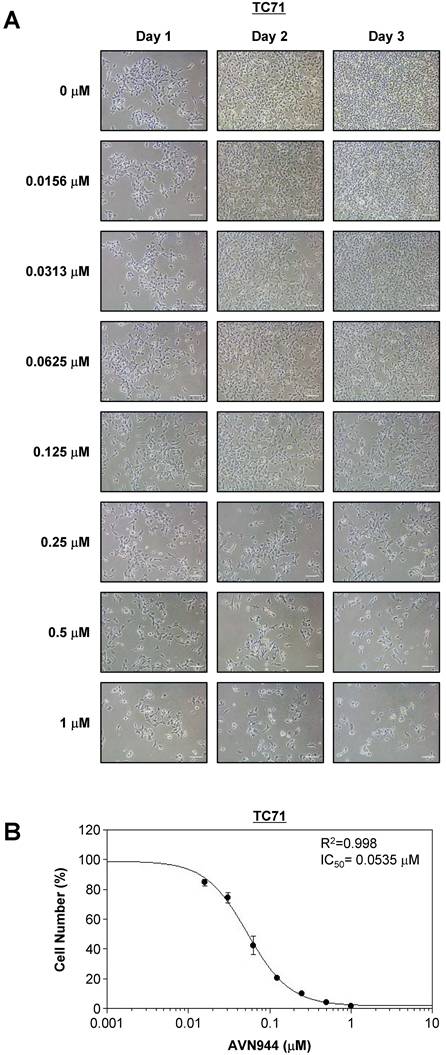 Int J Biol Sci Image