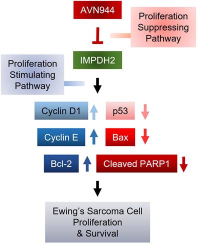 Int J Biol Sci Image
