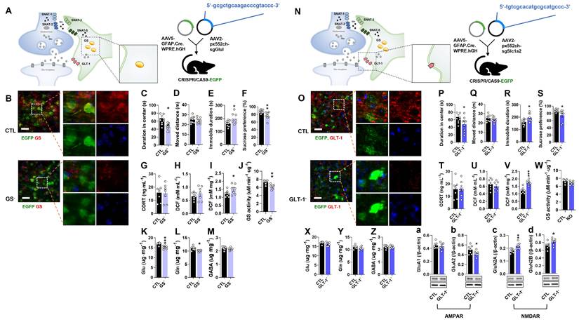 Int J Biol Sci Image