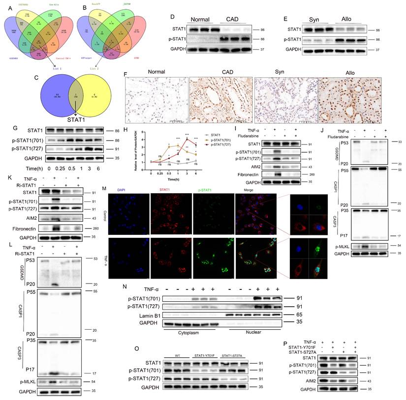 Int J Biol Sci Image