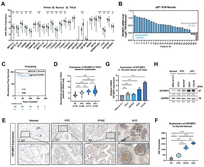 Int J Biol Sci Image