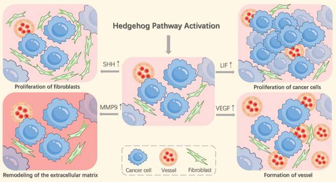 Int J Biol Sci Image
