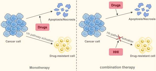 Int J Biol Sci Image
