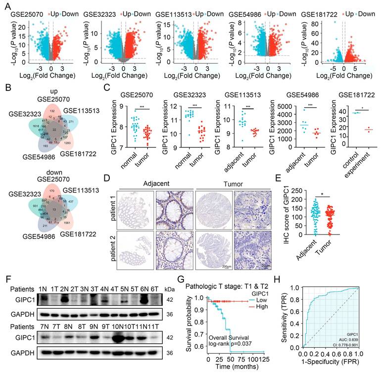 Int J Biol Sci Image