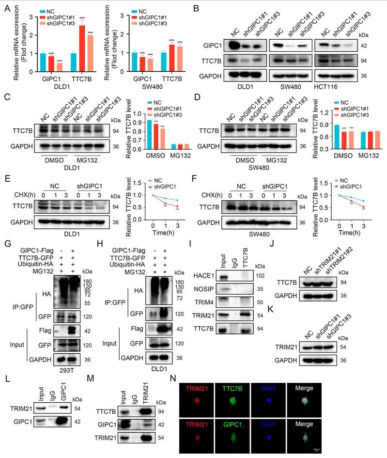 Int J Biol Sci Image