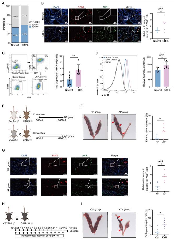 Int J Biol Sci Image