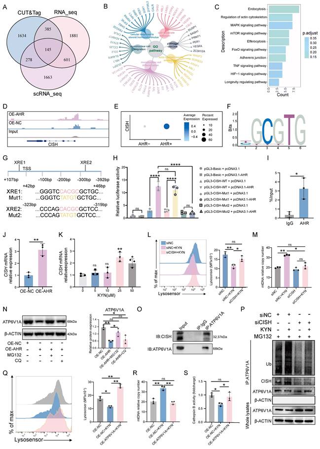 Int J Biol Sci Image