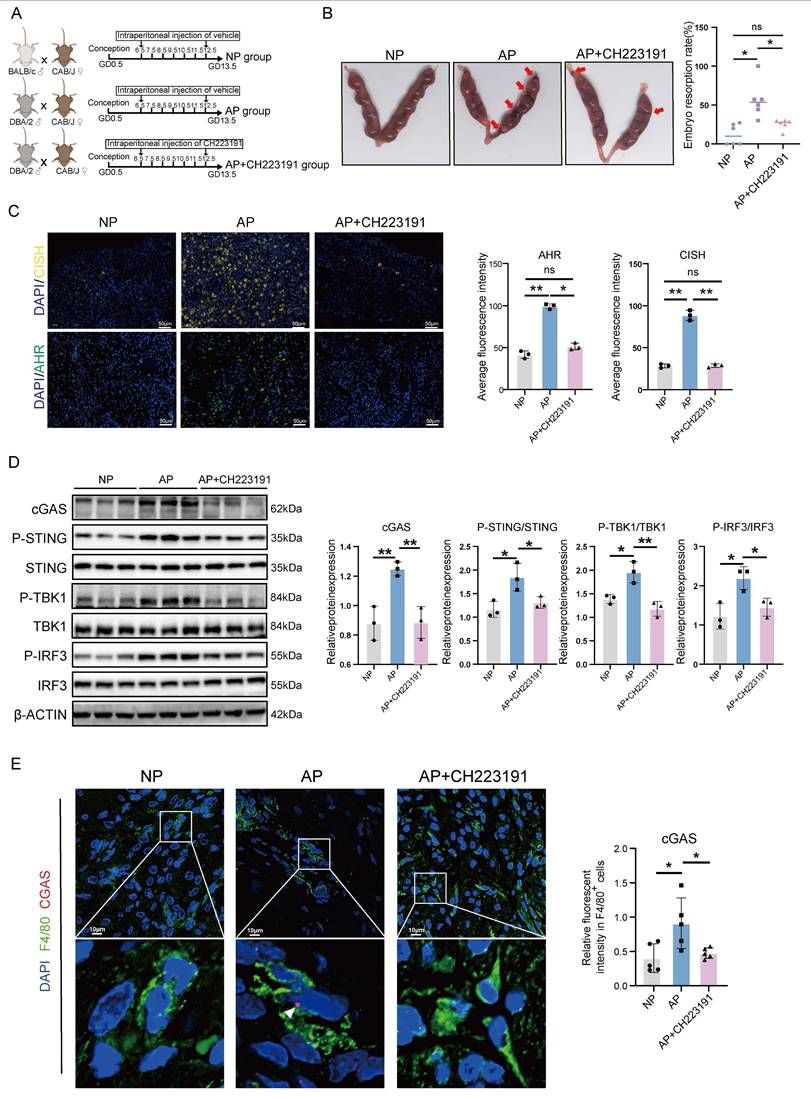Int J Biol Sci Image