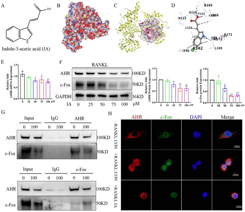 Int J Biol Sci Image