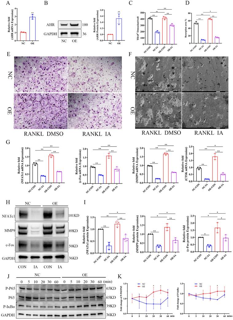 Int J Biol Sci Image