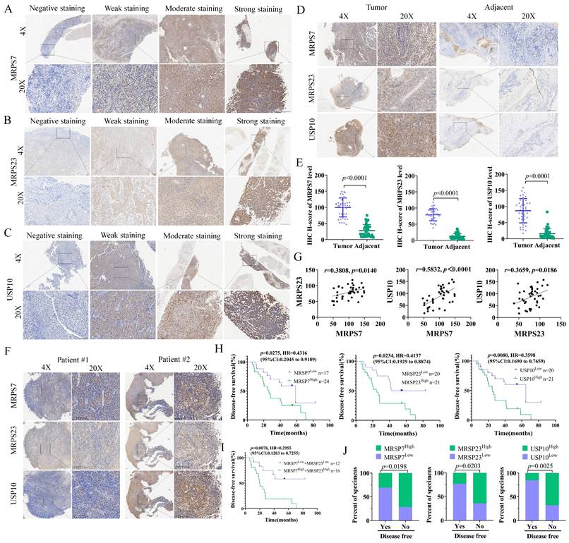 Int J Biol Sci Image