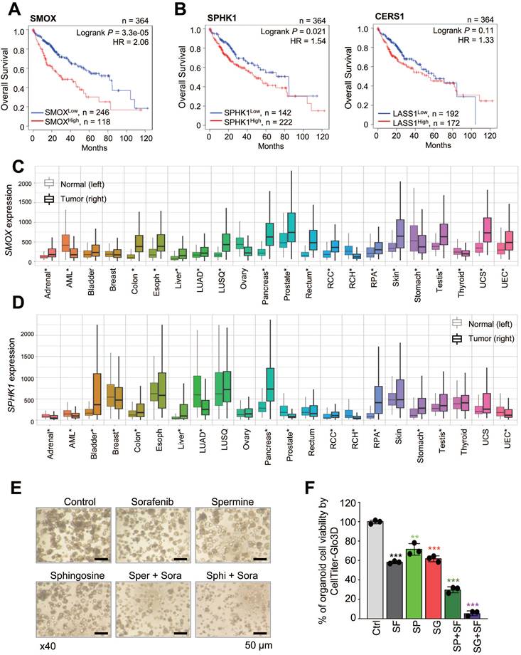 Int J Biol Sci Image