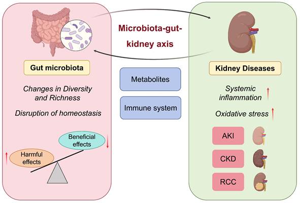 Int J Biol Sci Image