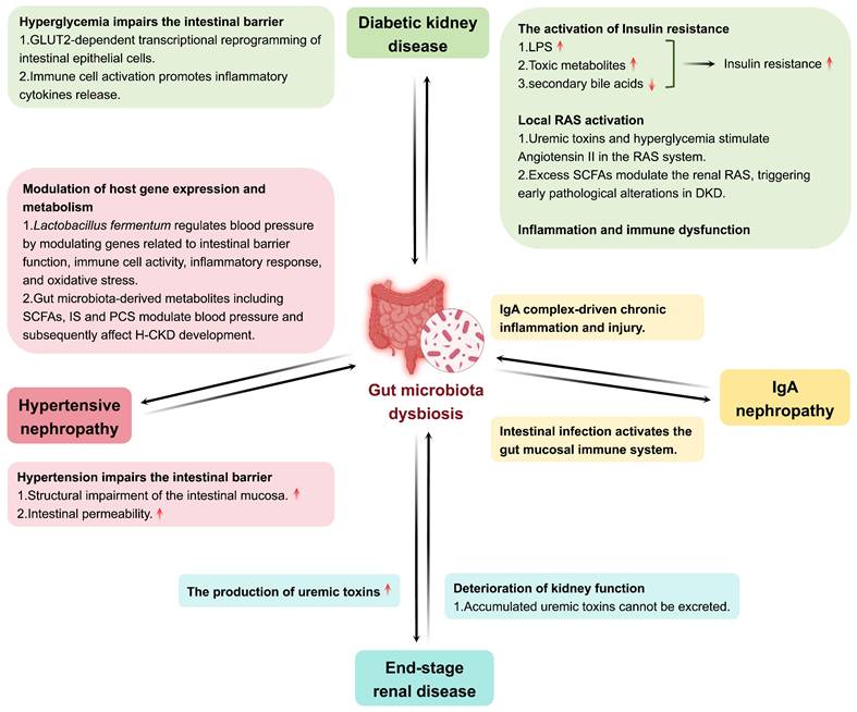 Int J Biol Sci Image