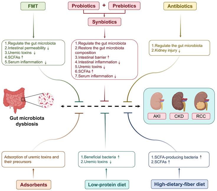 Int J Biol Sci Image