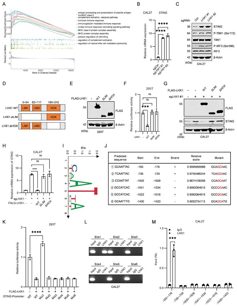 Int J Biol Sci Image