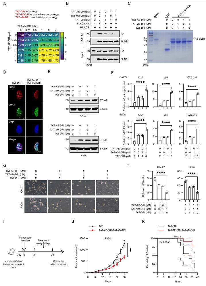 Int J Biol Sci Image