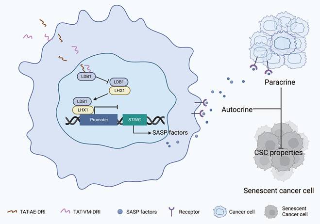 Int J Biol Sci Image