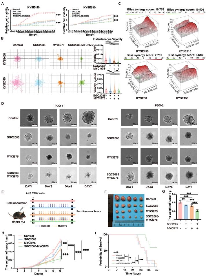 Int J Biol Sci Image